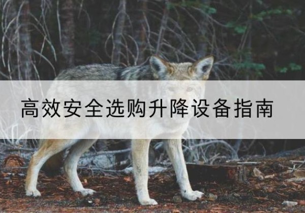 夏邑升降货梯厂家推荐-*安全选购升降设备指南