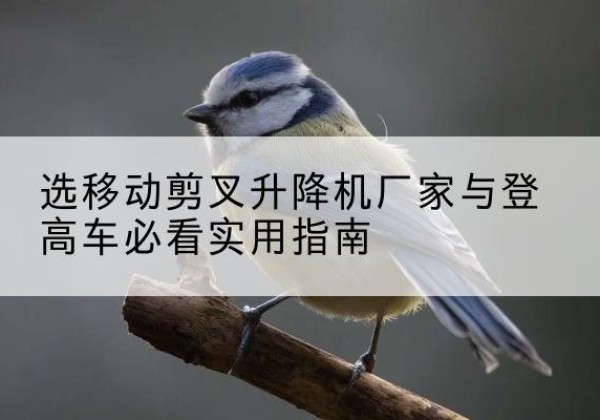 夏邑电动升降机厂家-选移动剪叉升降机厂家与登高车必看实用指南