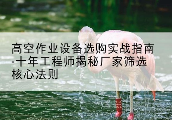 夏邑剪叉式升降机厂家-高空作业设备选购实战指南-十年工程师揭秘厂家筛选核心法则